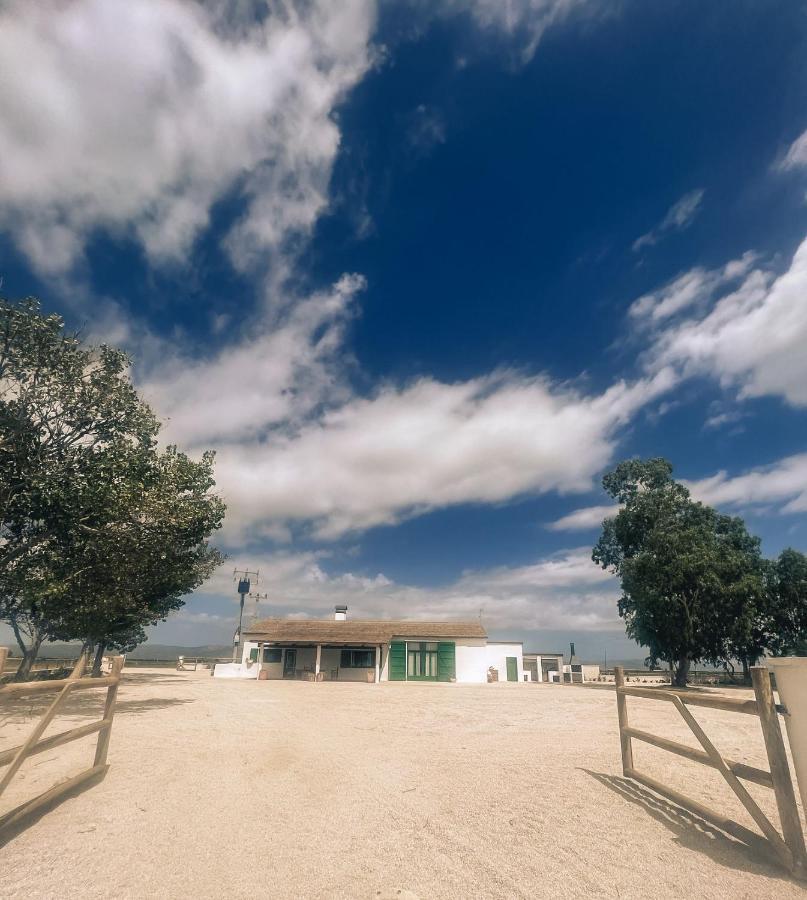 Masia Blanca Deltebre Εξωτερικό φωτογραφία
